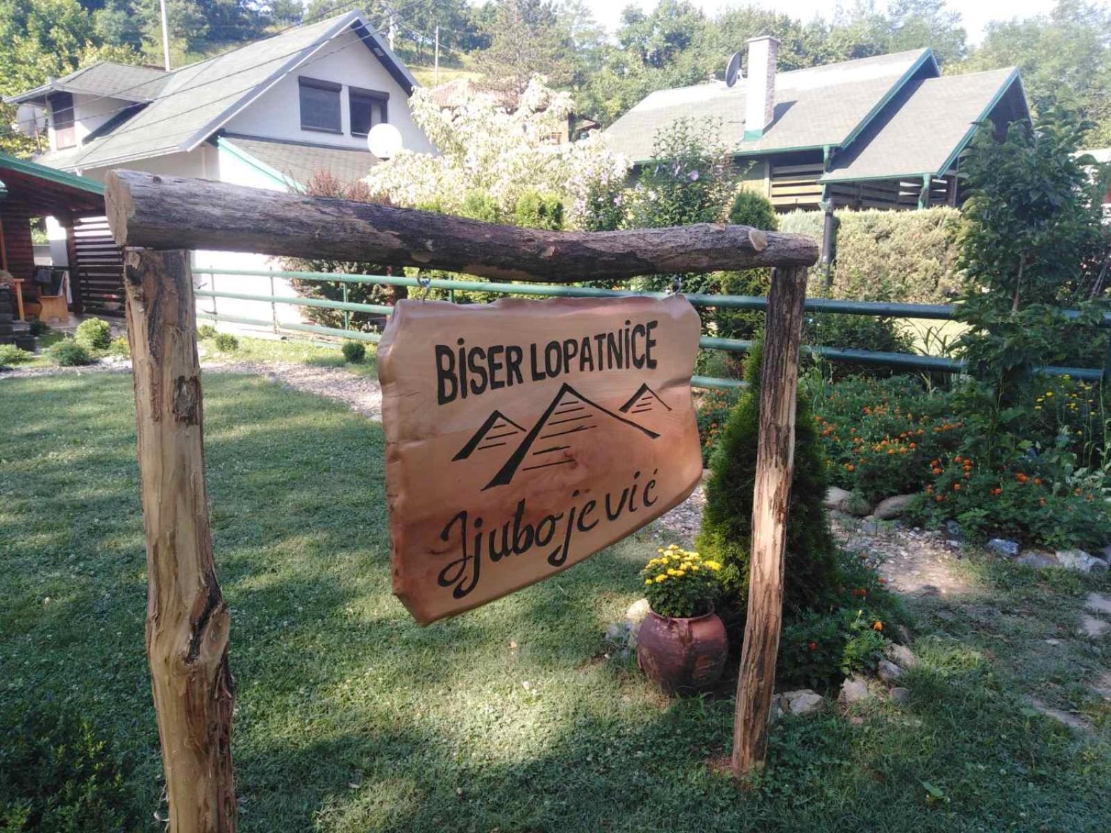 Holiday Homes Biser Lopatnice Lopatnica エクステリア 写真