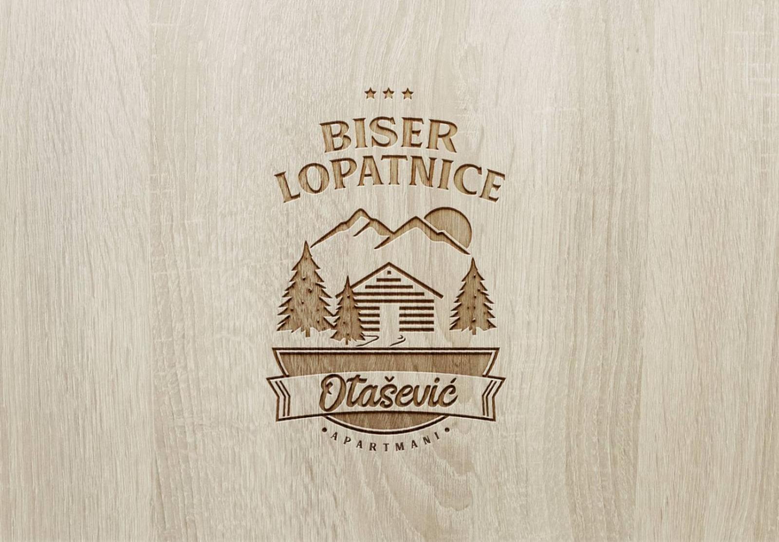 Holiday Homes Biser Lopatnice Lopatnica エクステリア 写真